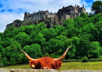 Stirling Gin Getaway